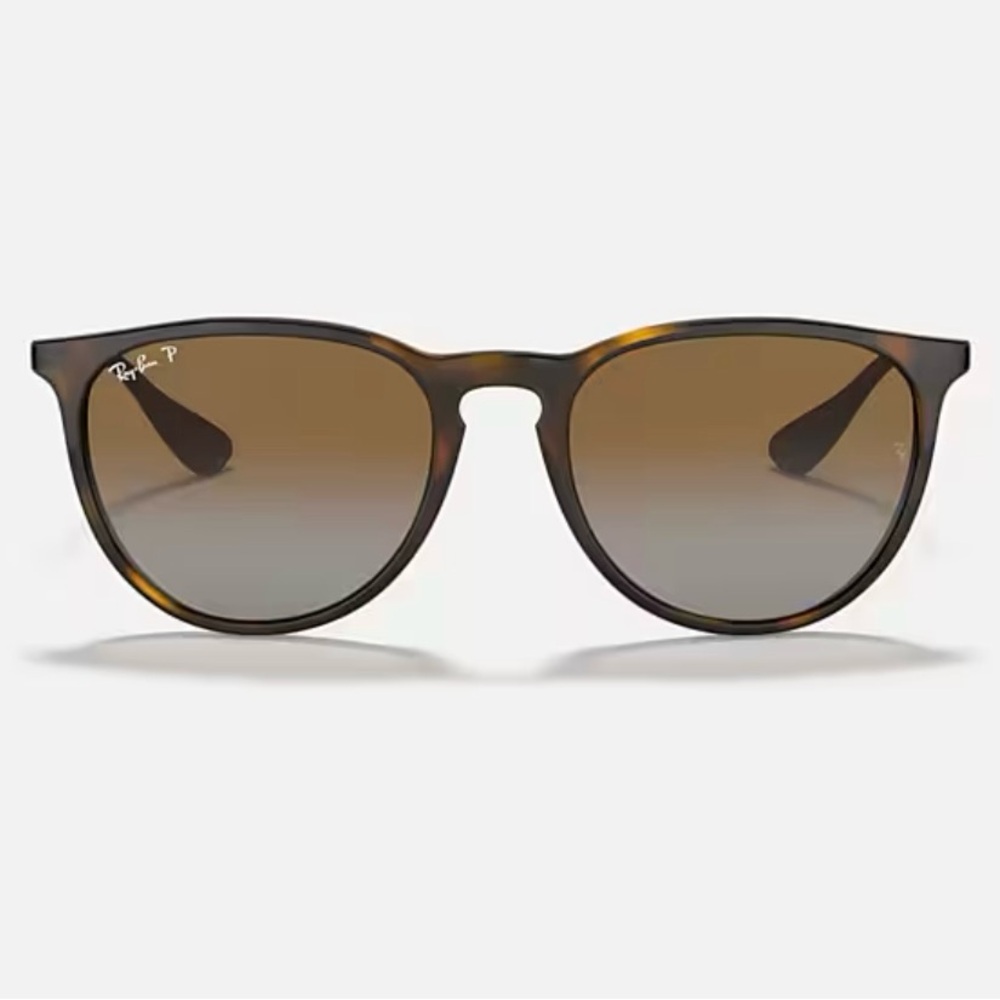 Ray-Ban Erika Classic Sunglasses